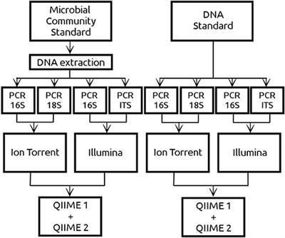 Evaluating the Effect of QIIME Balanced Default Parameters on Metataxonomic Analysis Workflows With a Mock Community